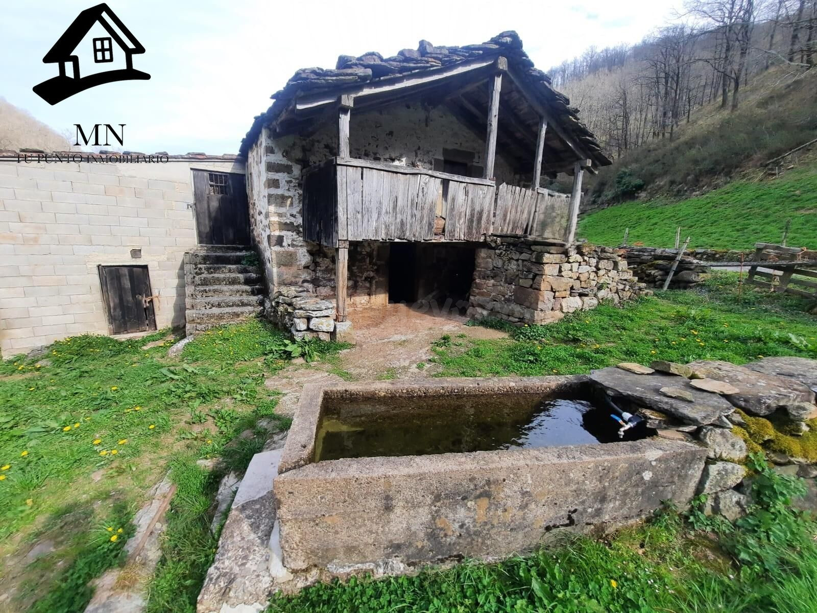 ESPECIAL FINCA Y CABAÑA PASIEGA EN EL VALLE DE VEGA DE PAS - foto 2