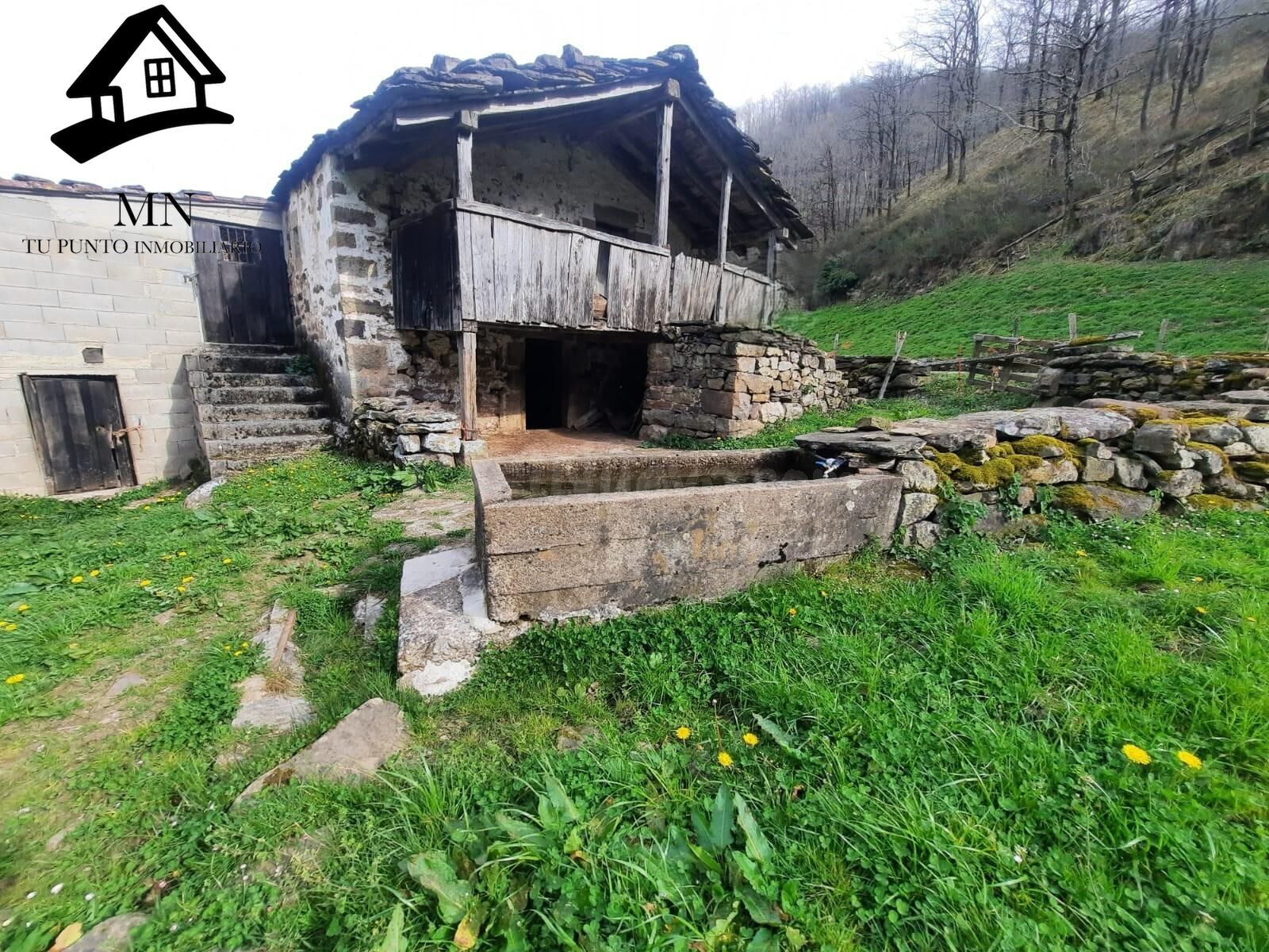 ESPECIAL FINCA Y CABAÑA PASIEGA EN EL VALLE DE VEGA DE PAS - foto 4