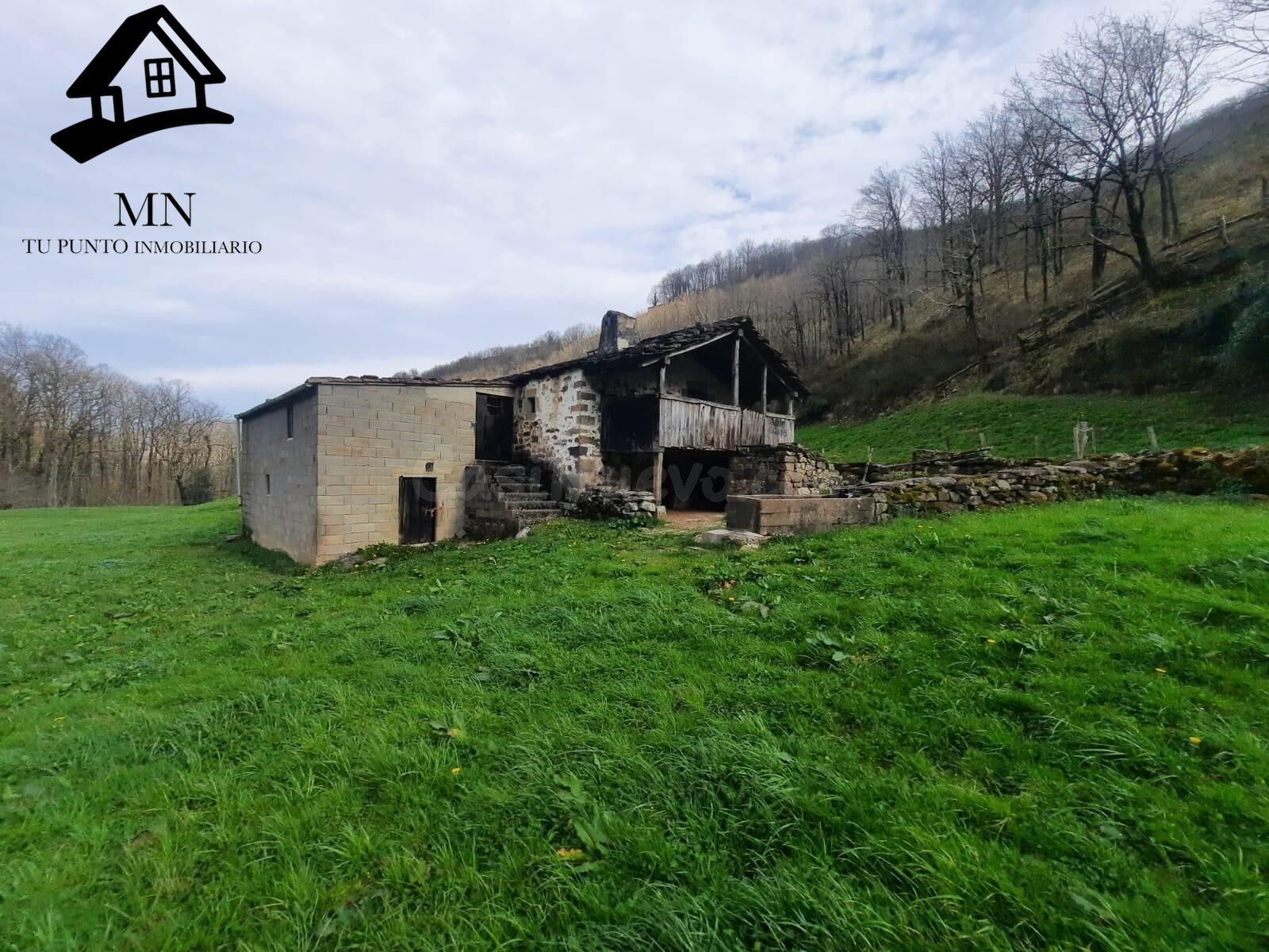 ESPECIAL FINCA Y CABAÑA PASIEGA EN EL VALLE DE VEGA DE PAS - foto 5