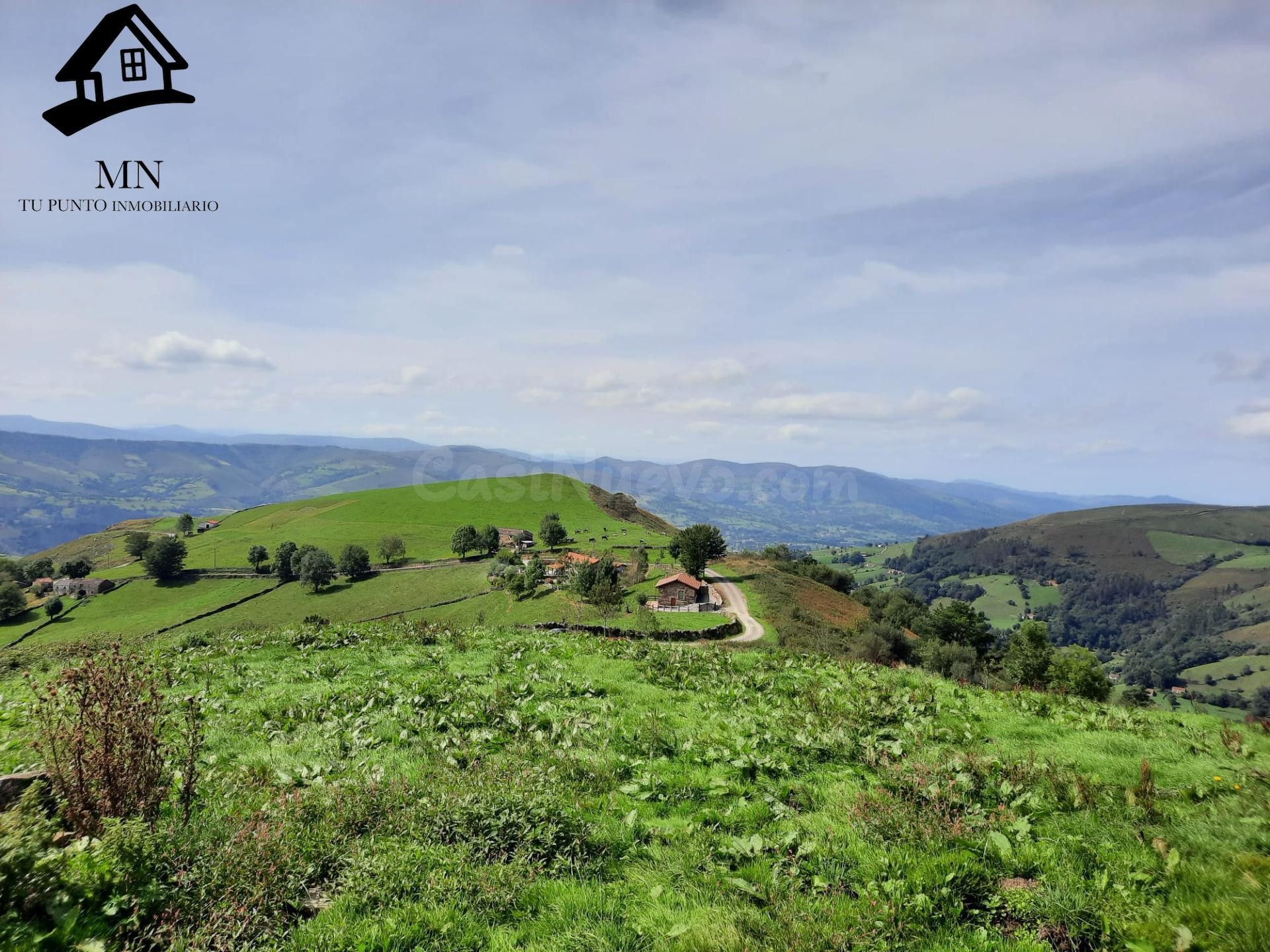 CABAÑA CON FINCA EN VENTA EN SELAYA