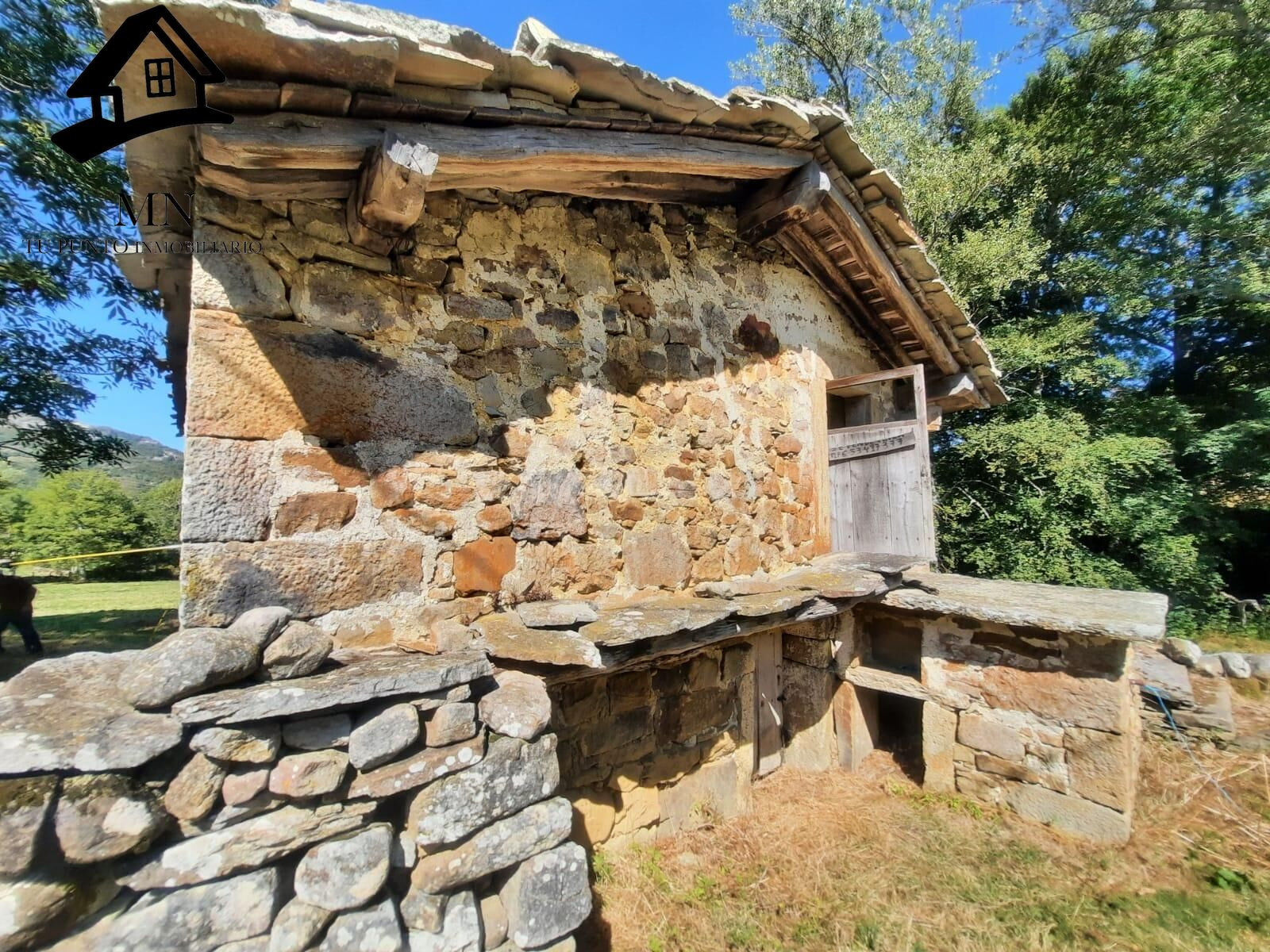 EN VENTA – CABAÑA CON FINCA EN ESPINOSA DE LOS MONTEROS - foto 5