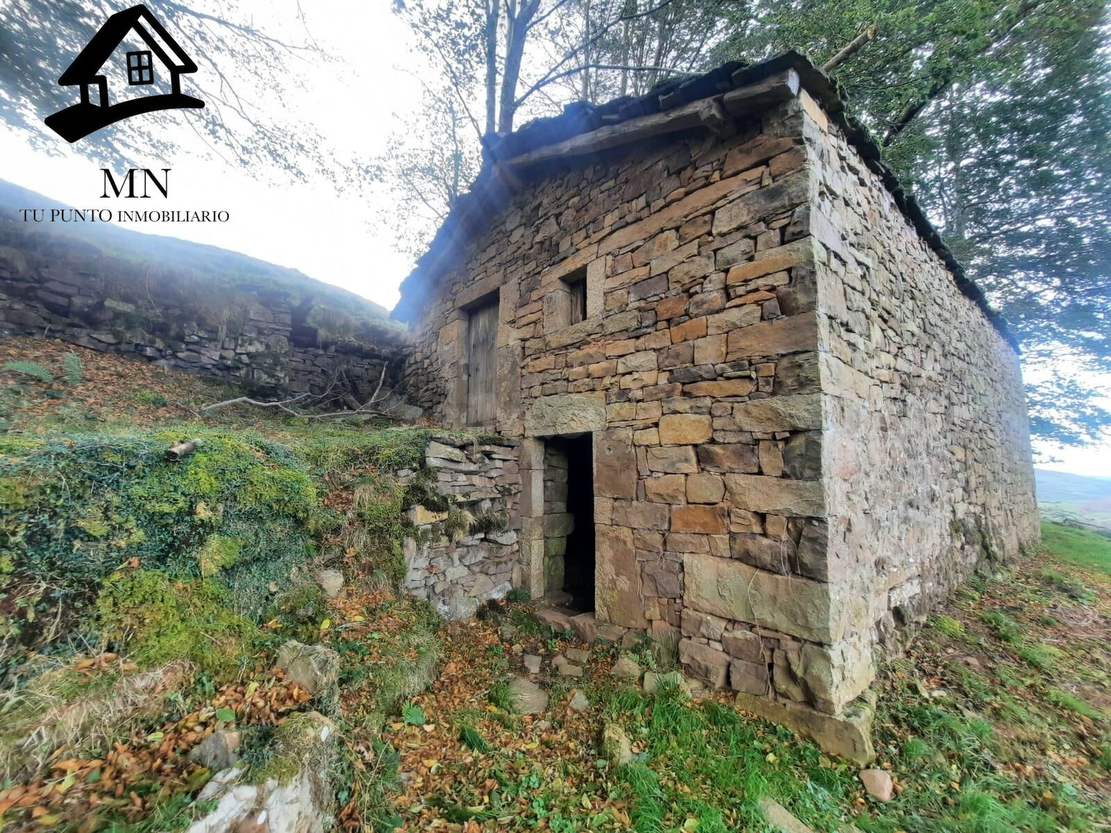AMPLIA CABAÑA PASIEGA CON FINCA PRIVADA PARA REFORMAR EN SELAYA