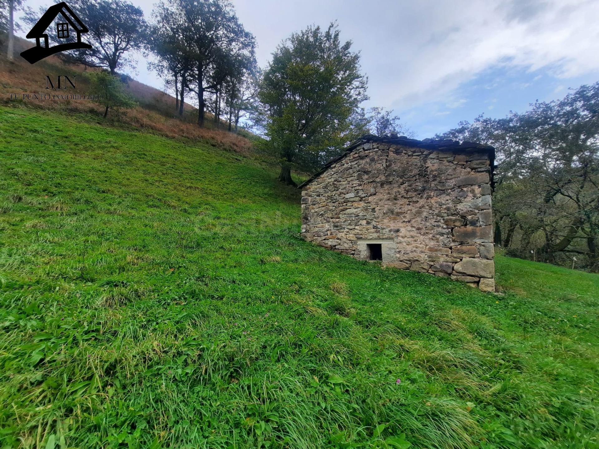 CABAÑA PASIEGA CON FINCA EN SELAYA