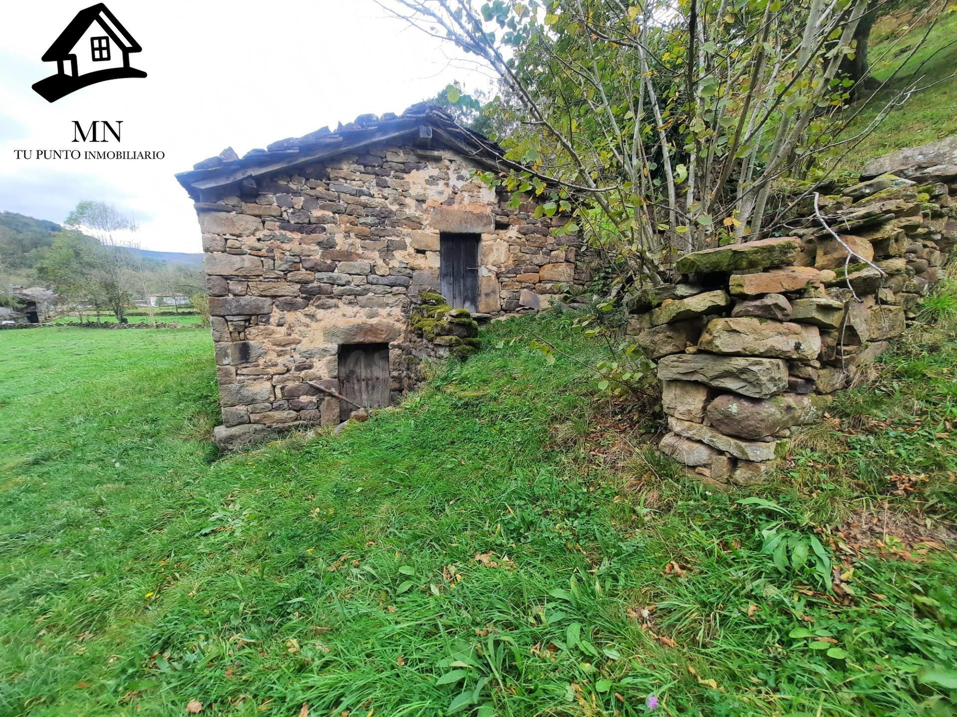 CABAÑA PASIEGA CON FINCA EN SELAYA - foto 3