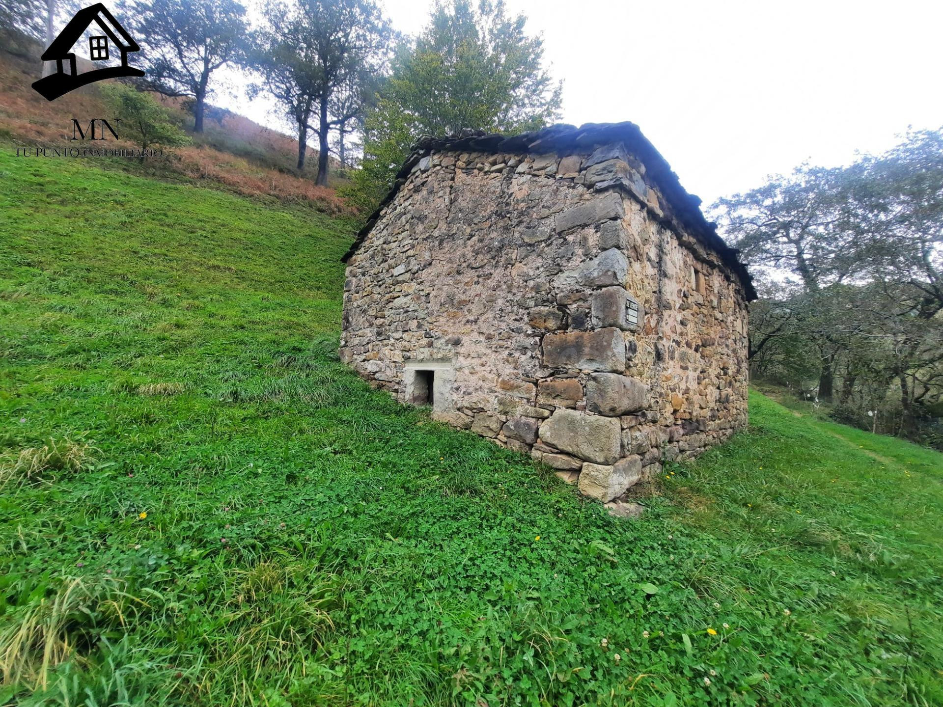 CABAÑA PASIEGA CON FINCA EN SELAYA - foto 5