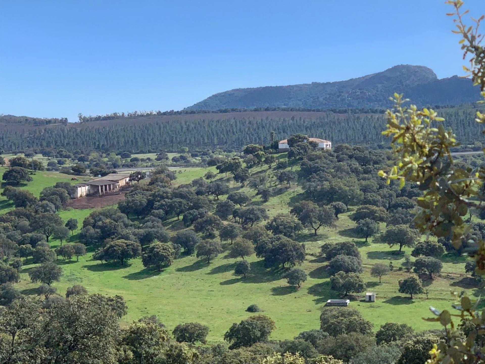 Finca de 350 ha con potencial agrícola, ganadero y turístico en Badajoz