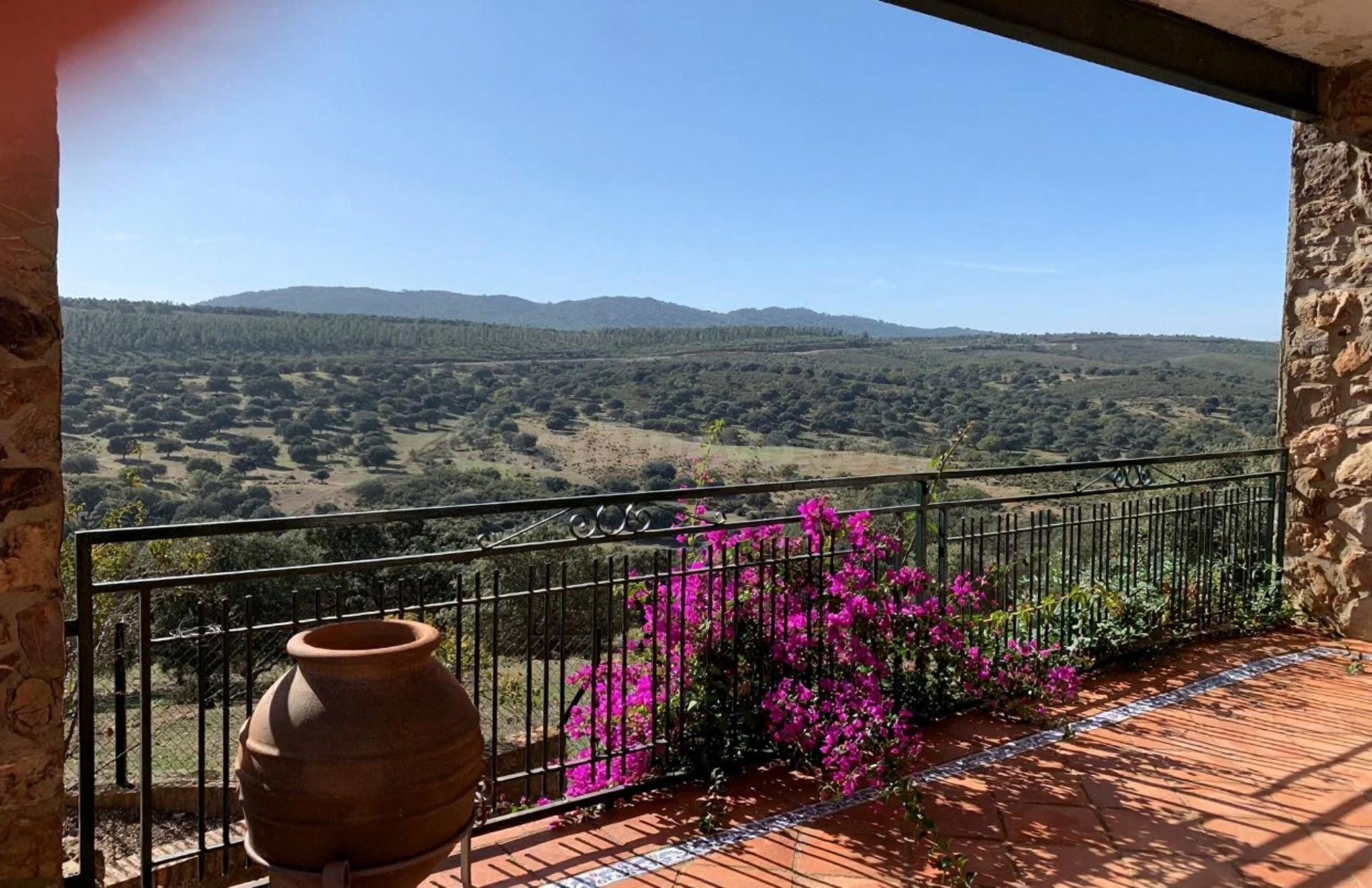 Finca de 350 ha con potencial agrícola, ganadero y turístico en Badajoz - foto 2