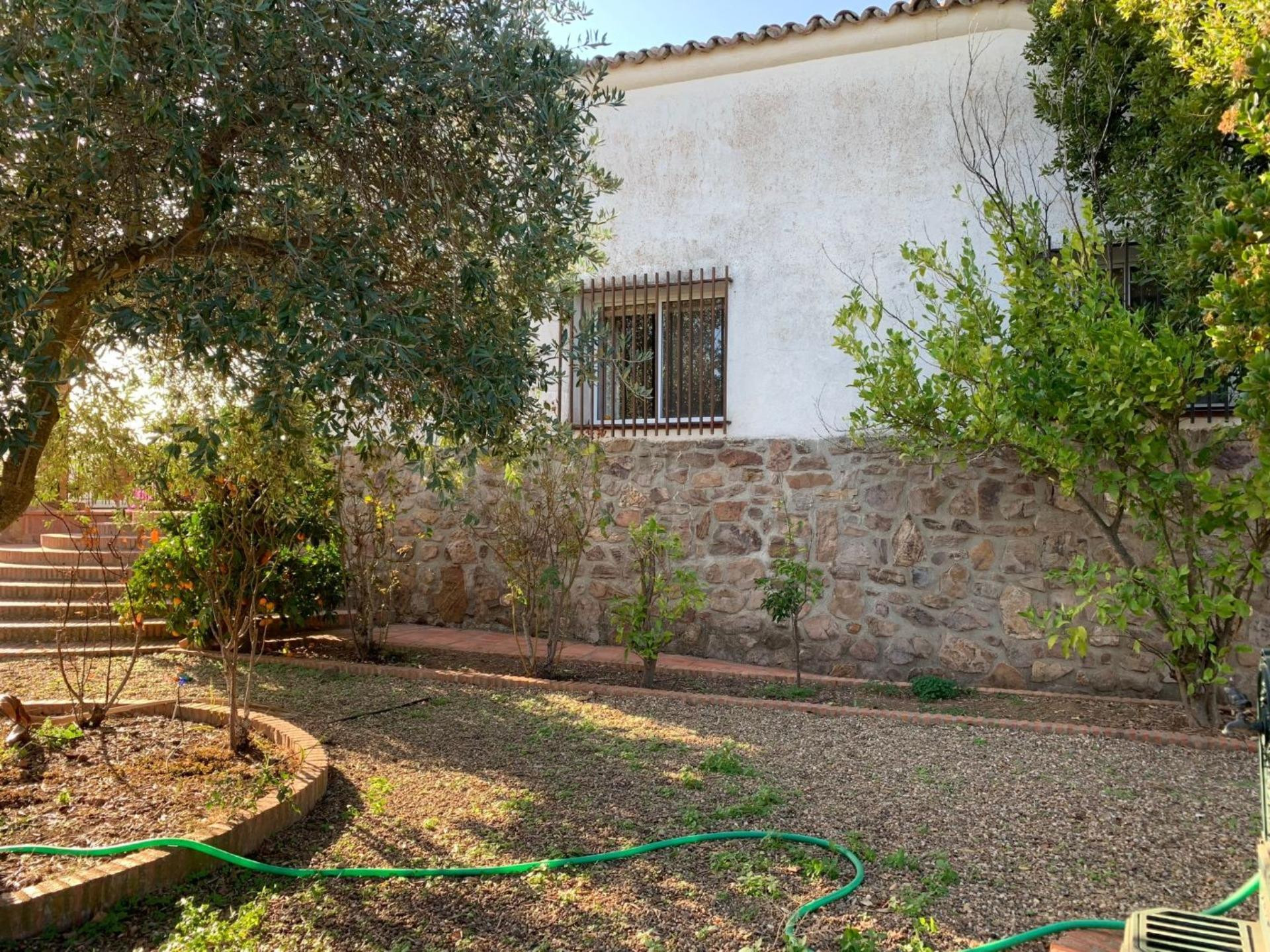 Finca de 350 ha con potencial agrícola, ganadero y turístico en Badajoz - foto 4