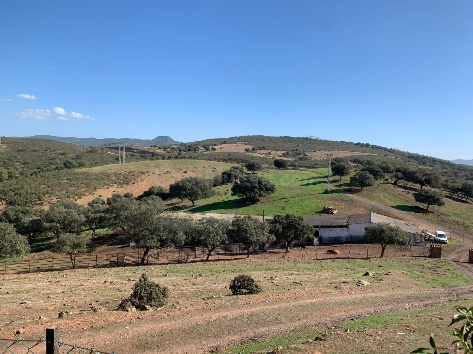 Finca de 350 ha con potencial agrícola, ganadero y turístico en Badajoz - foto 5