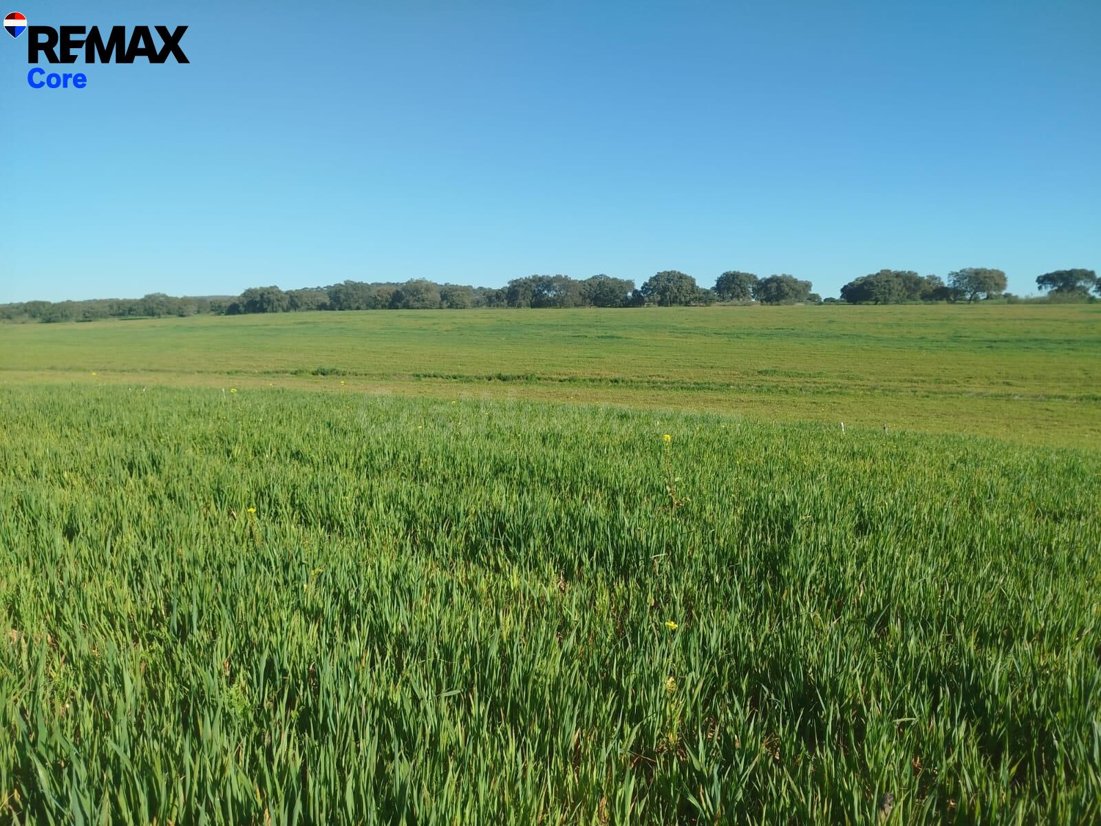 Oportunidad Única: Finca de Regadío de 30 Hectáreas al lado 