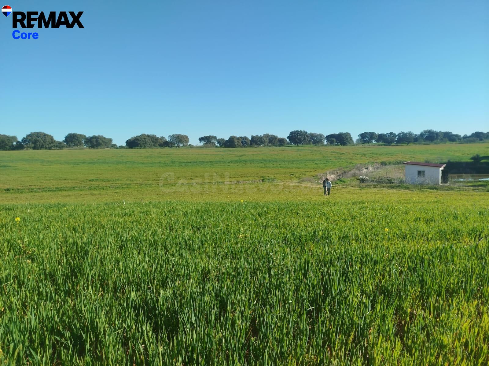 Oportunidad Única: Finca de Regadío de 30 Hectáreas al lado  - foto 3