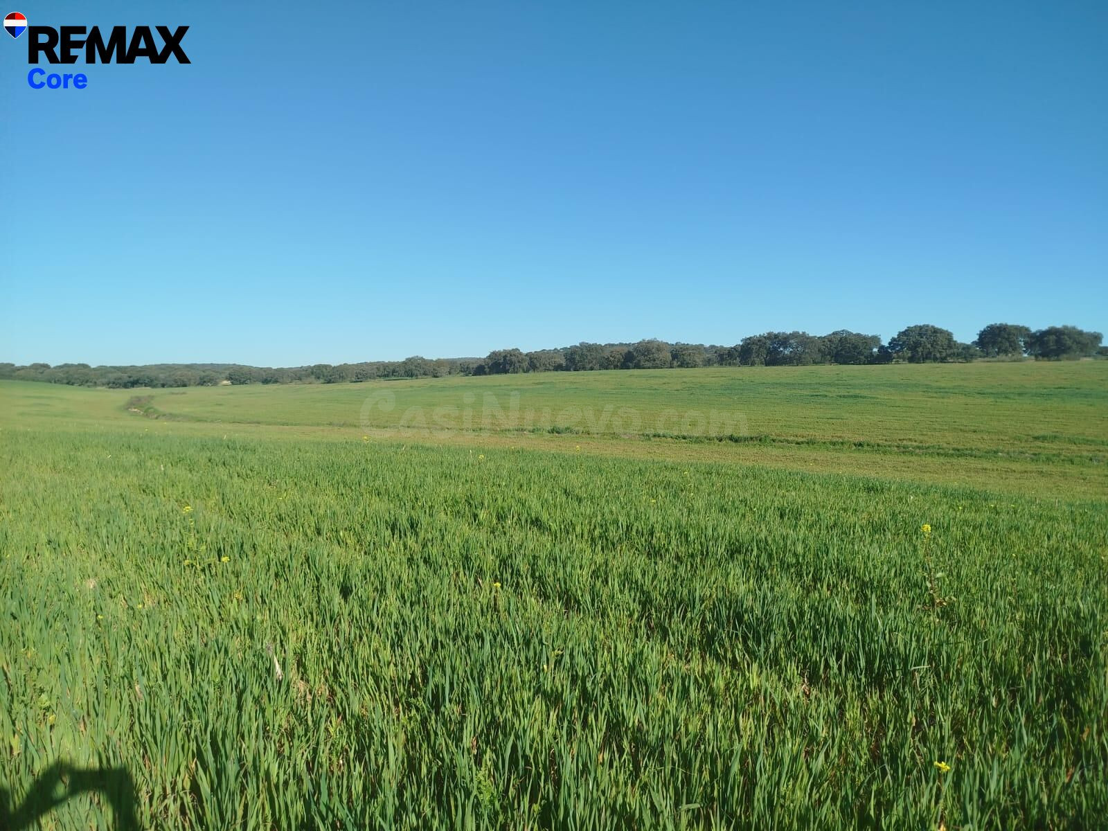 Oportunidad Única: Finca de Regadío de 30 Hectáreas al lado  - foto 5