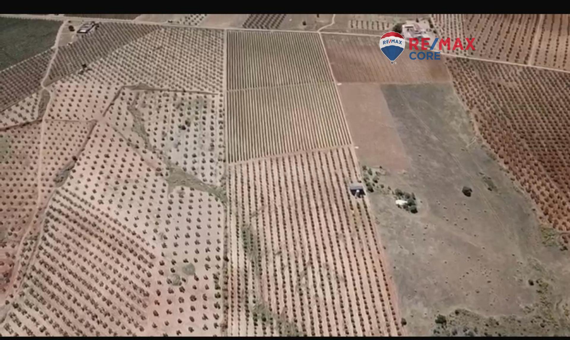 Finca de Olivos Superintensivos e Intensivos en Excepcional Ubicación - foto 3