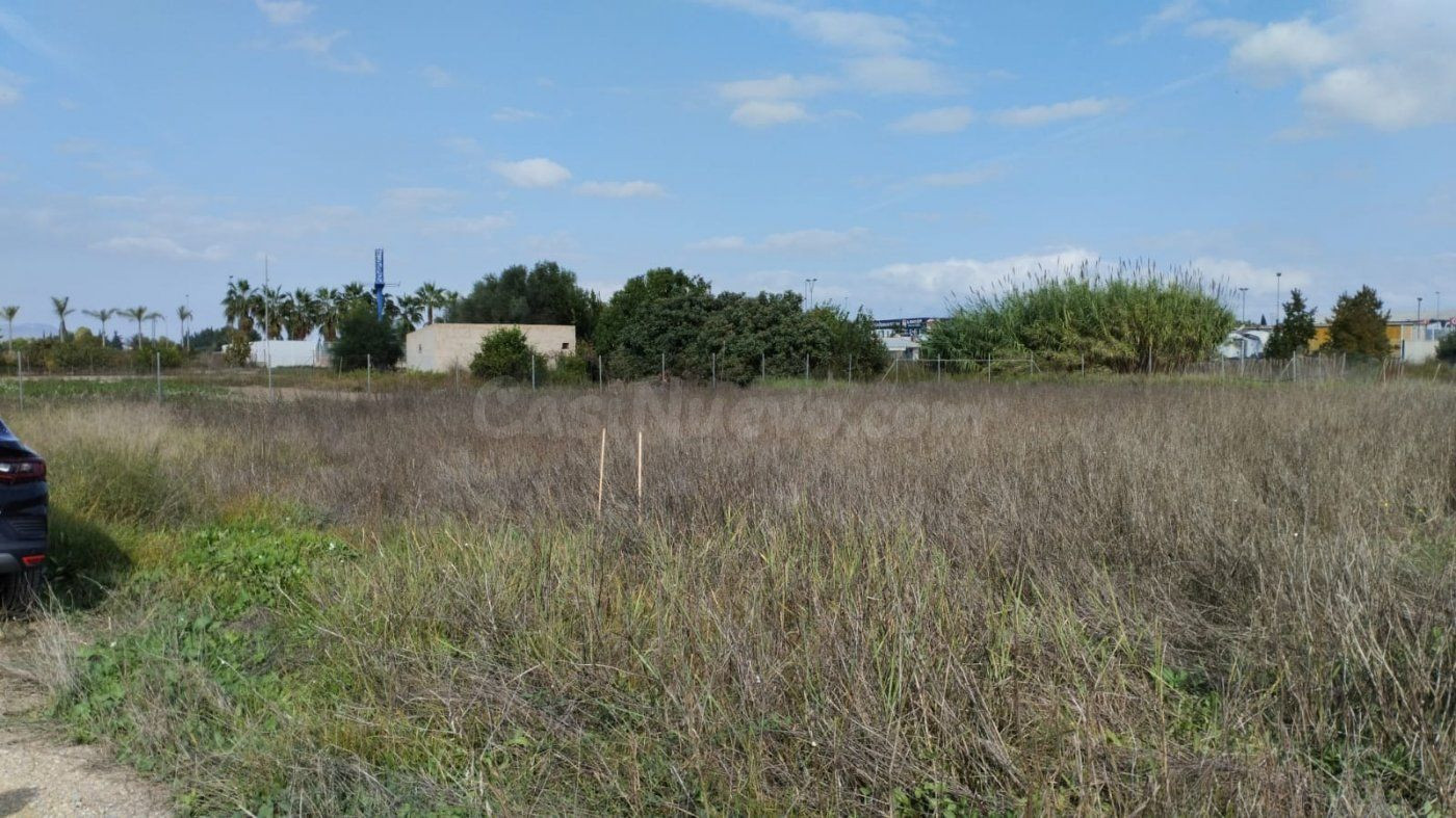 Parcela- Paraje la hijuela (Molina de Segura)