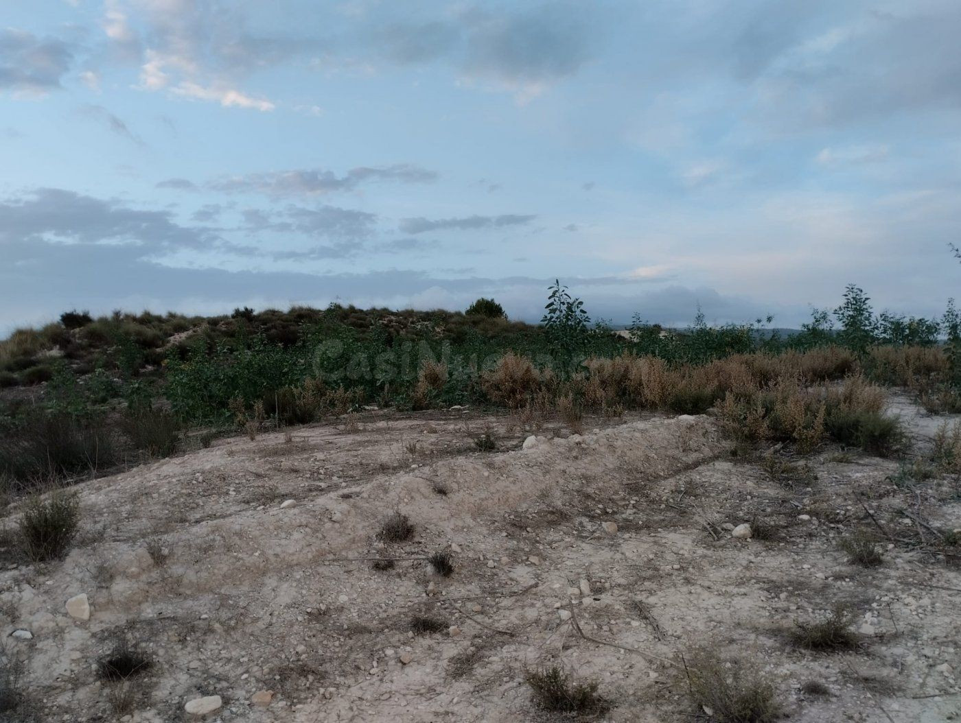 Terreno Rural -  Campos del Río