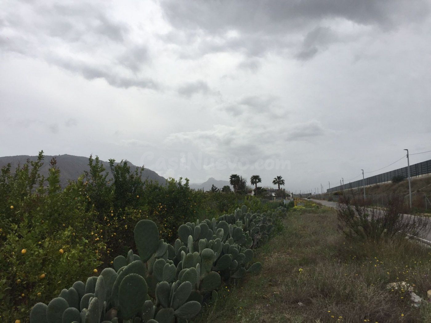 Terreno Rural - Alquerías