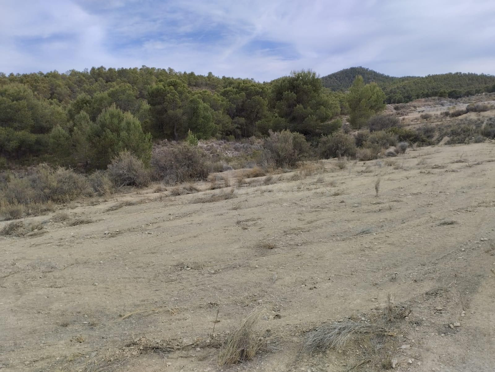 Terreno Rural - Totana