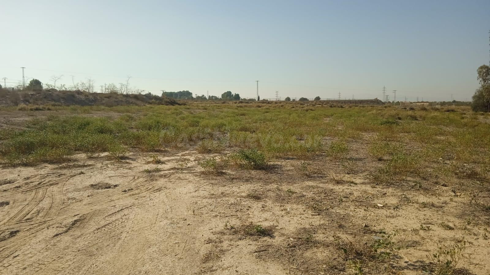 Terreno No Urbanizable - Alhama de Murcia
