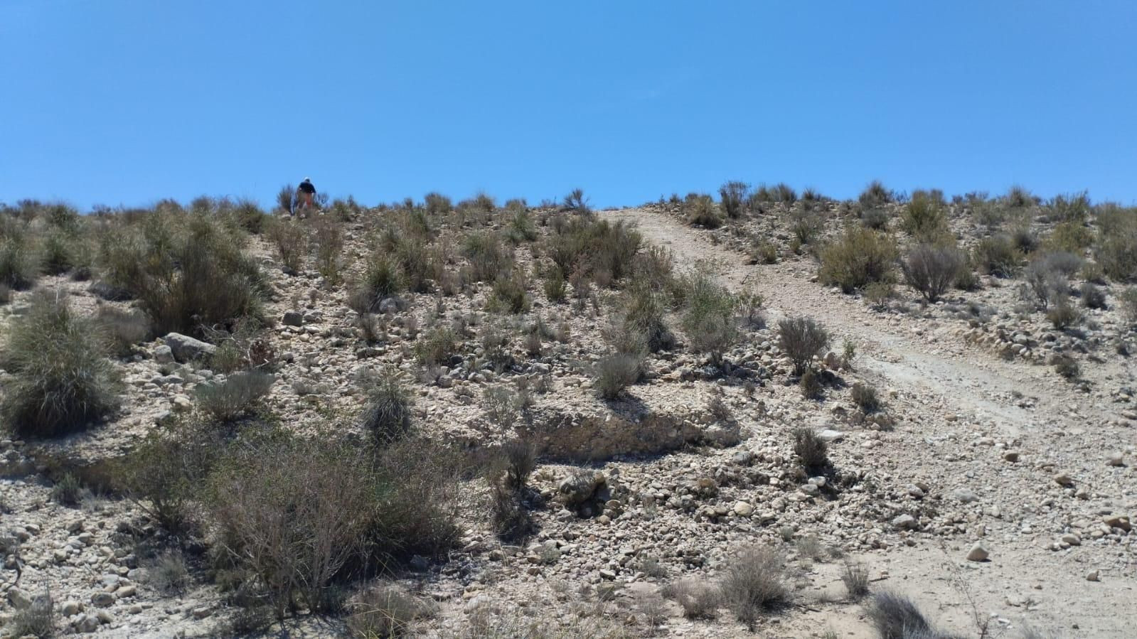 Terreno con Olivos - La Espada, Molina de Segura - foto 4
