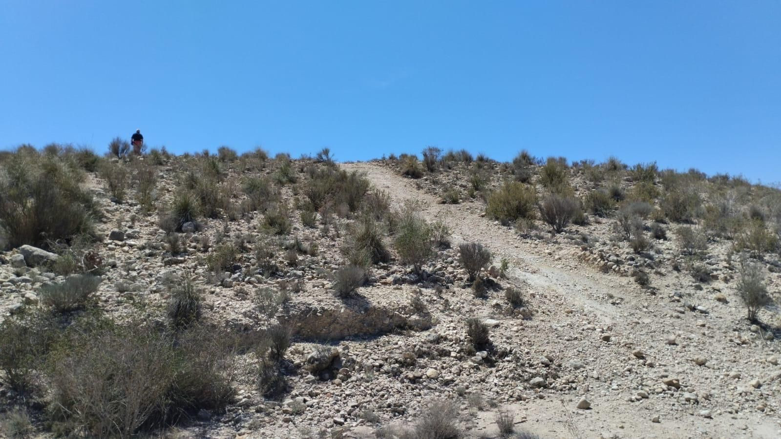 Terreno con Olivos - La Espada, Molina de Segura - foto 5