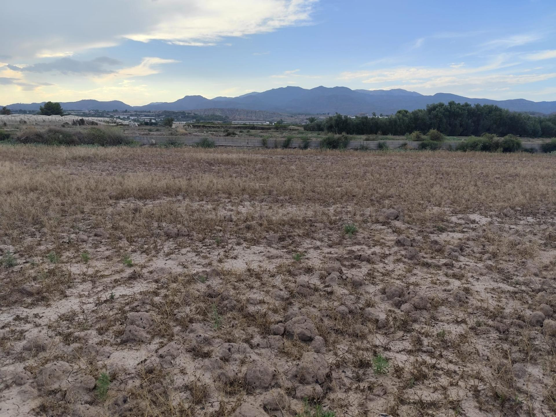 Terreno en Venta en el Torrejón - Totana