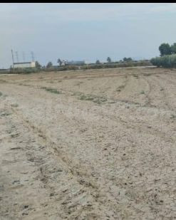 Terreno Agrario - La Ñorica, Totana