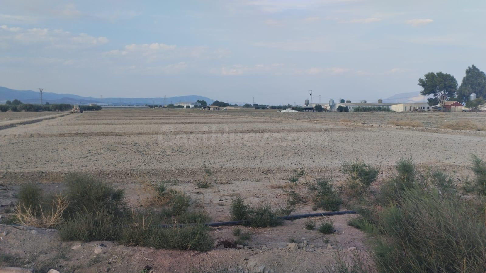 Terreno Agrario - Raiguero Alto, Totana