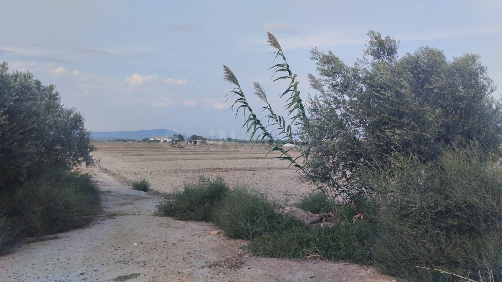 Terreno Agrario - Raiguero Alto, Totana - foto 2