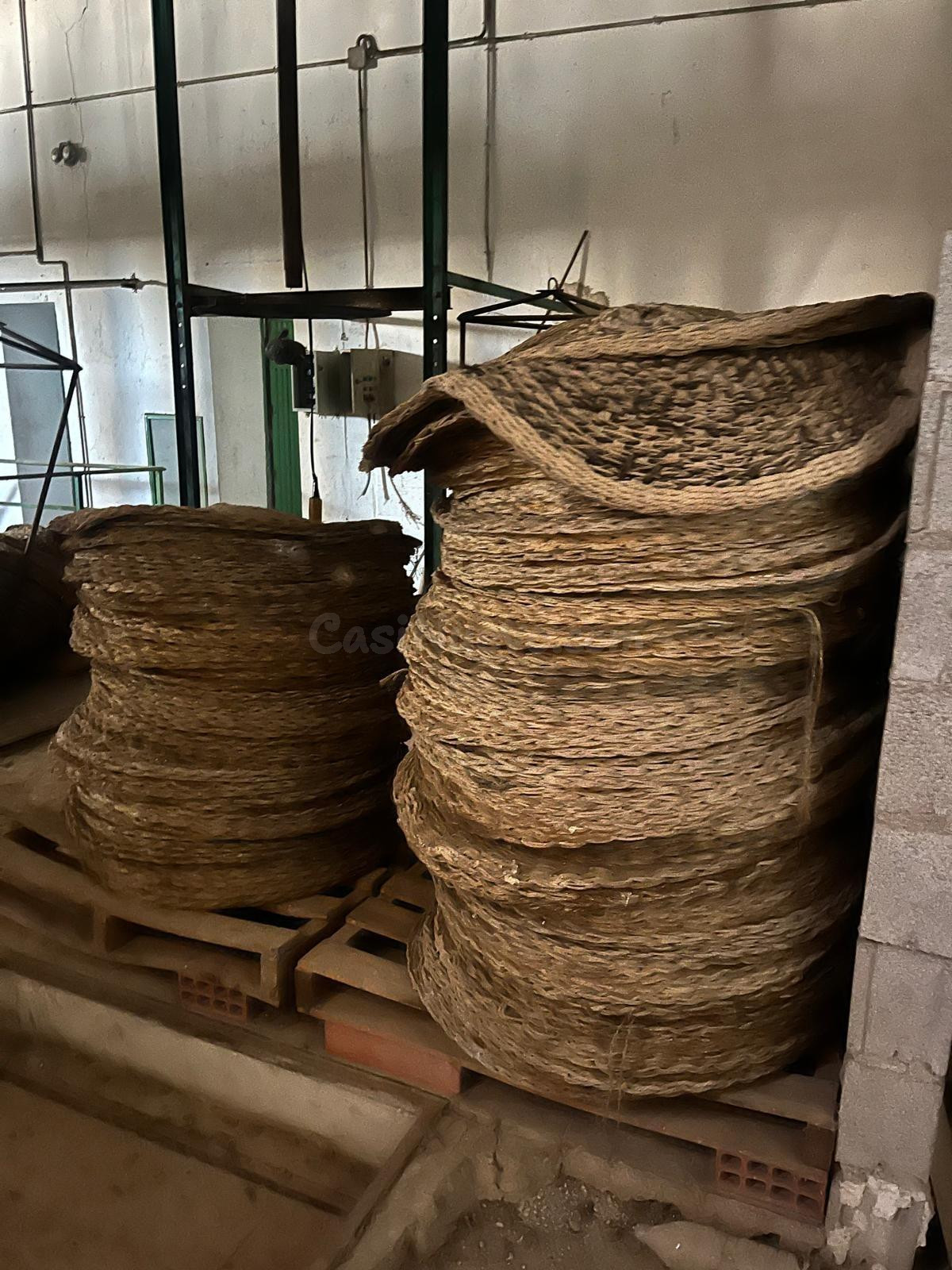 Almazara tradicional con Vivienda y Parcela de 13.000 m2 - foto 2