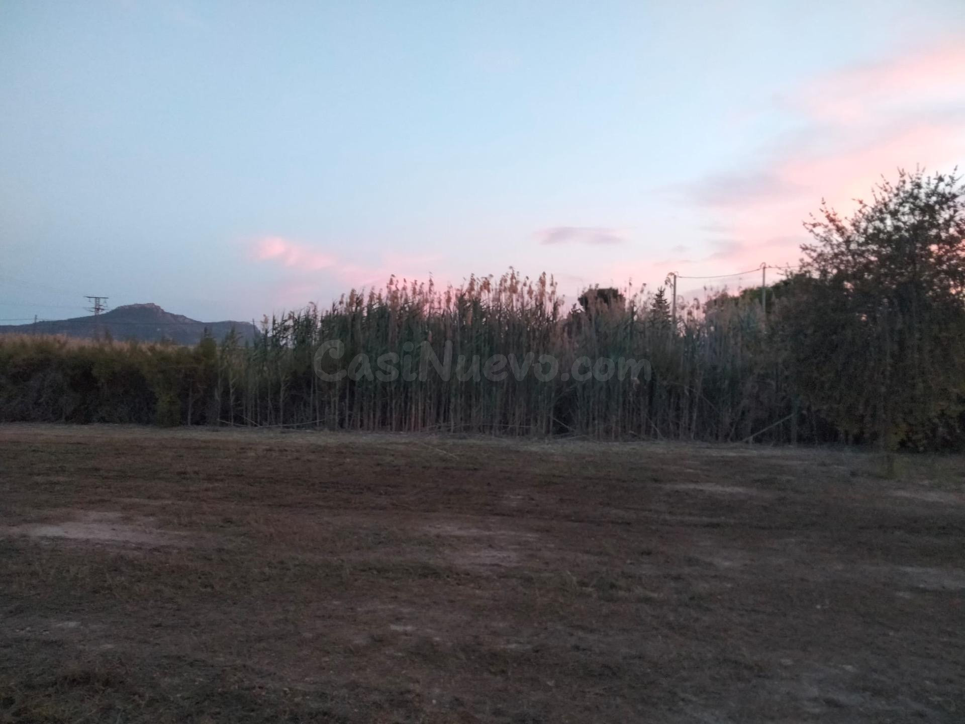 TERRENO EN BLANCA