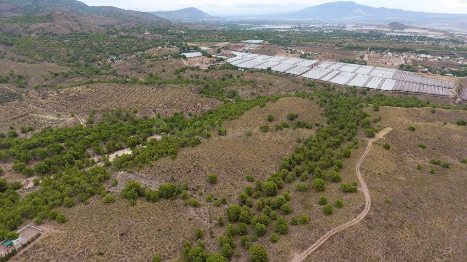 TERRENO 23.000 m2, La Charca.