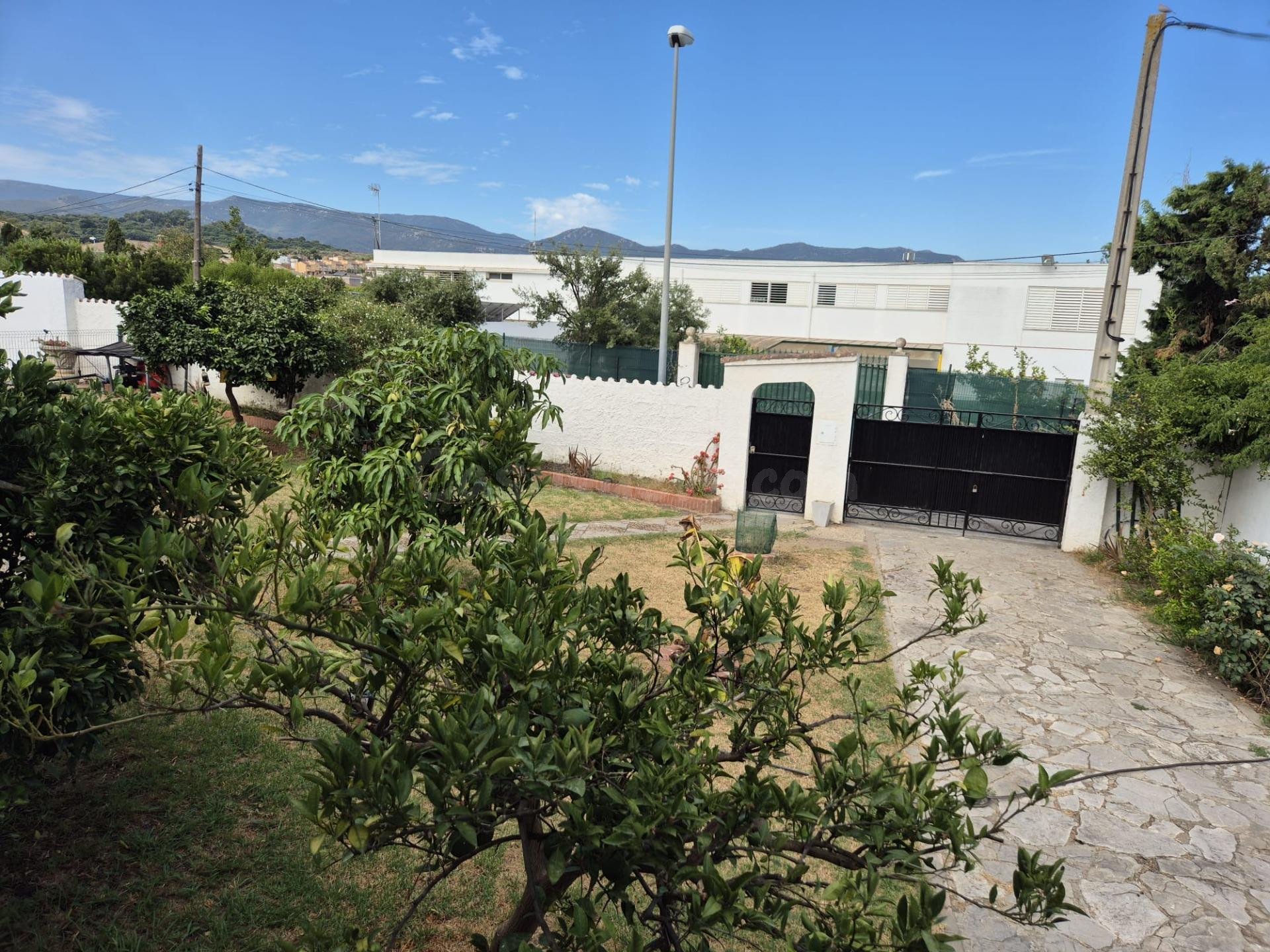 CASA UNIFAMILIAR EN UNA SOLA PLANTA EN LA COLONIA SAN MIGUEL - foto 5