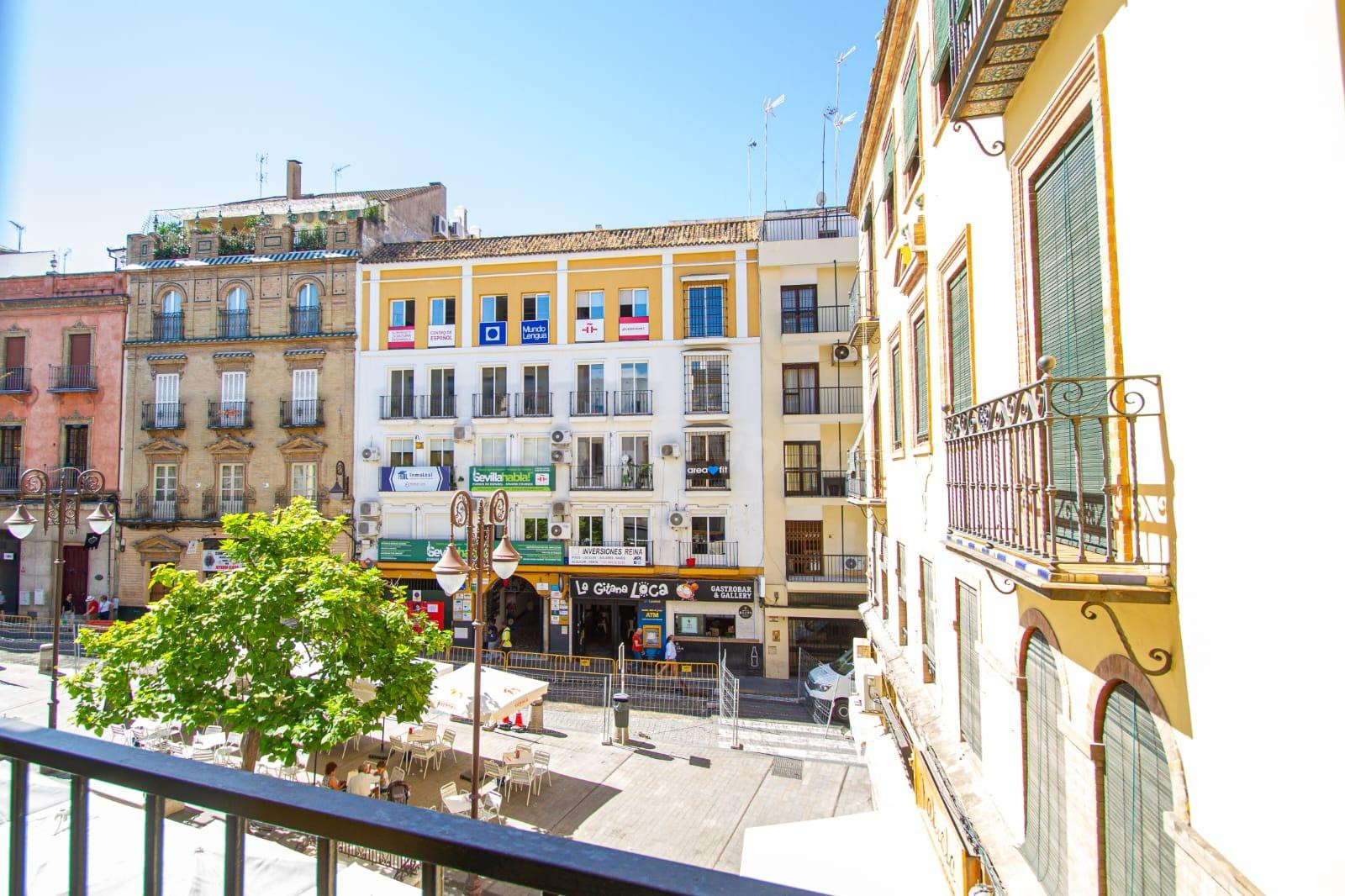 Gran piso en venta en pleno centro de Sevilla