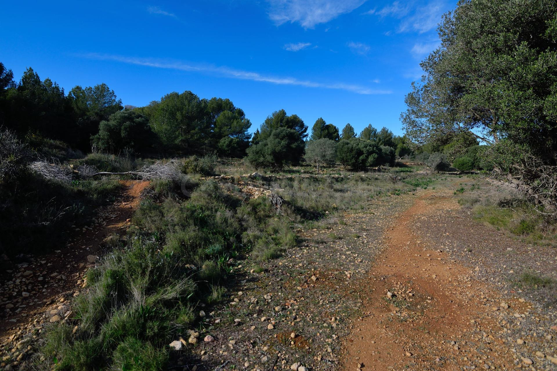 Terreno rustico muy cerca de Benissa