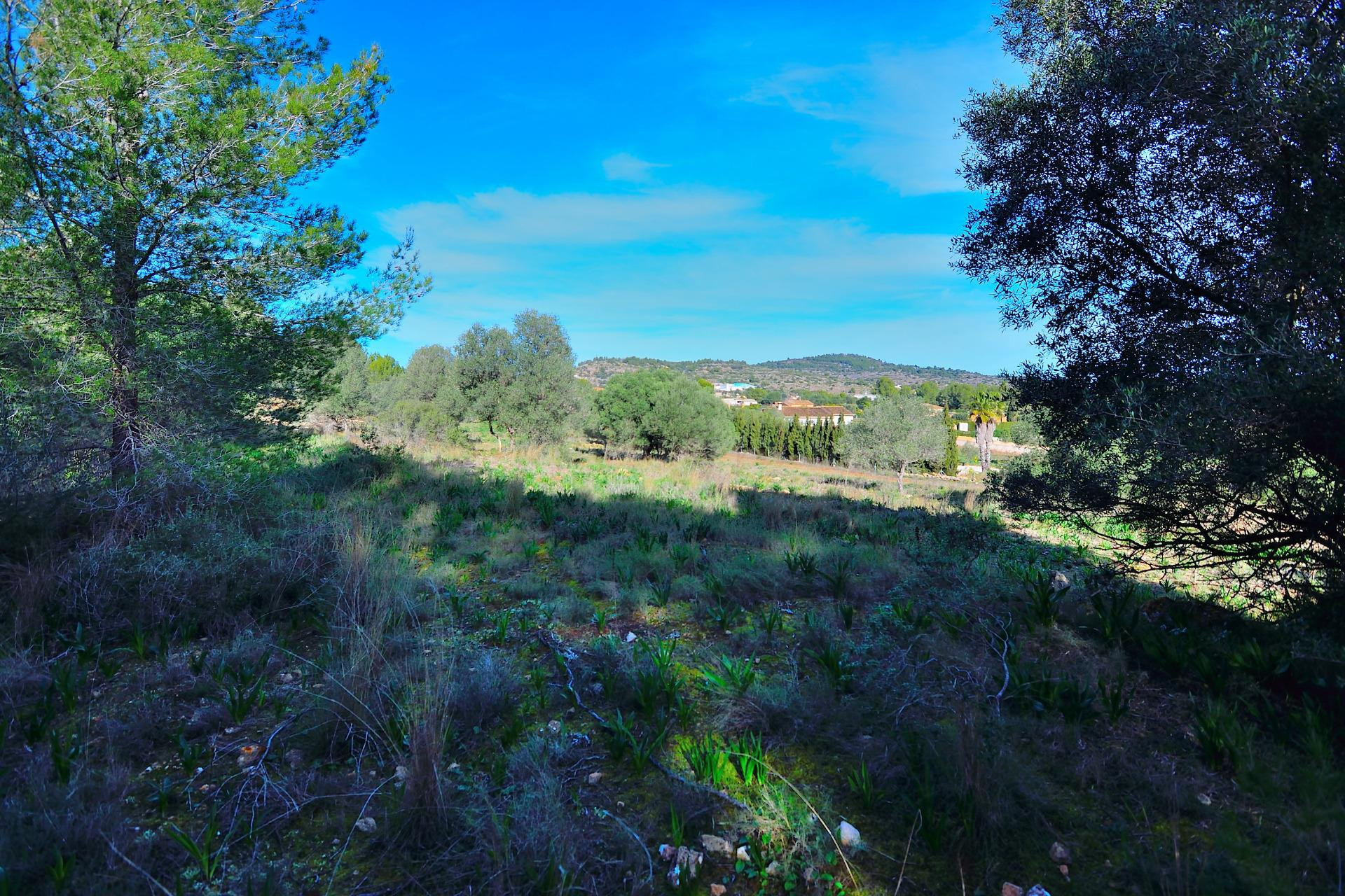 Terreno rustico muy cerca de Benissa - foto 3