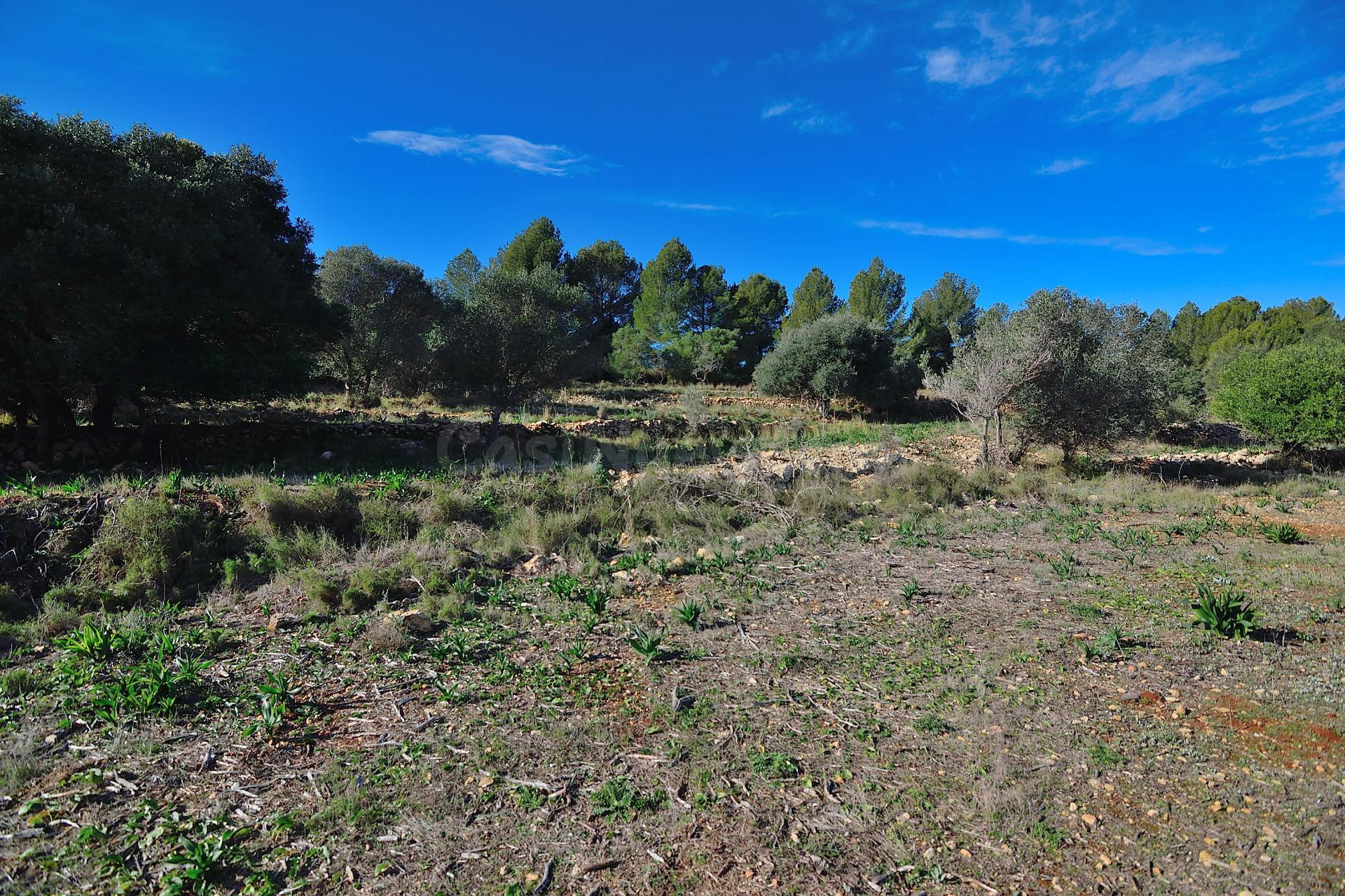 Terreno rustico muy cerca de Benissa - foto 4
