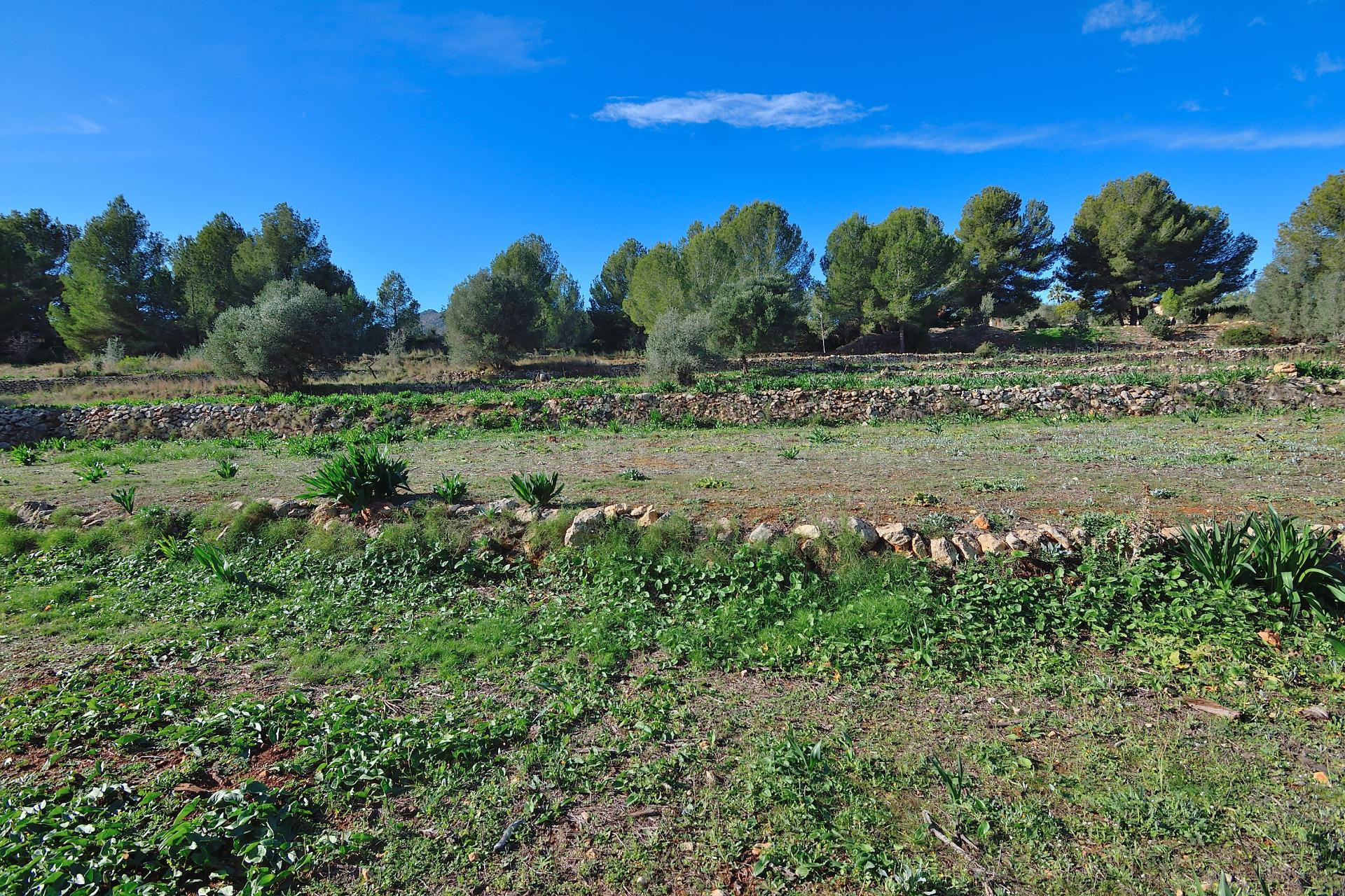 Terreno rustico muy cerca de Benissa - foto 5