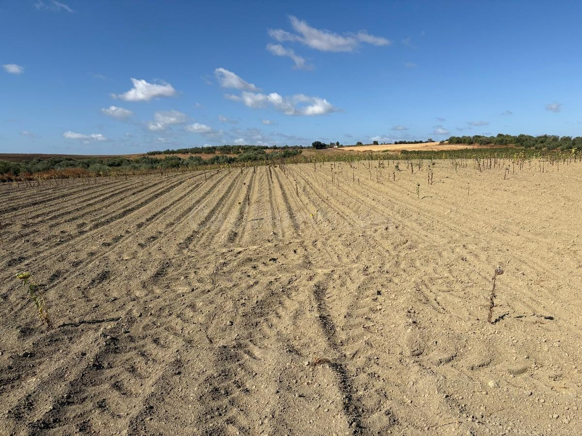 Finca rústica de labor bien ubicada