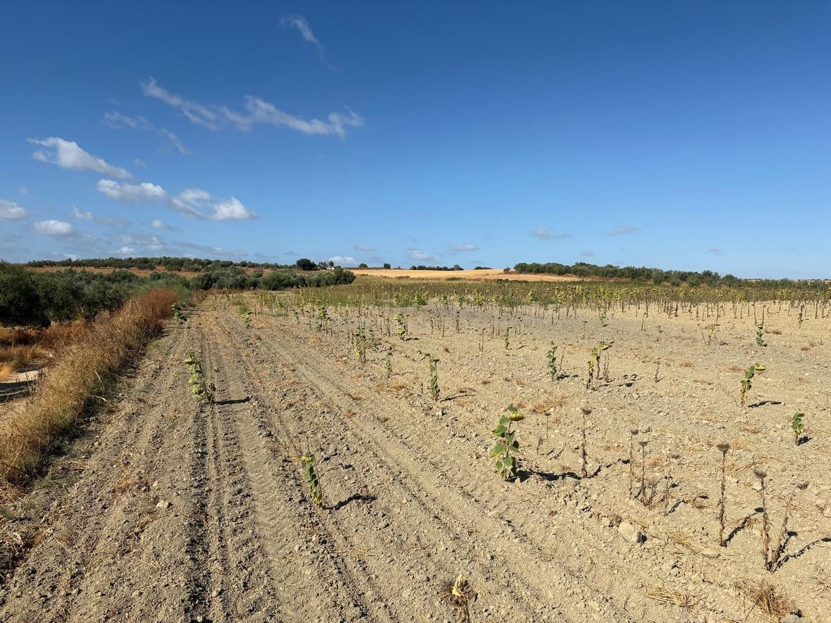 Finca rústica de labor bien ubicada - foto 4