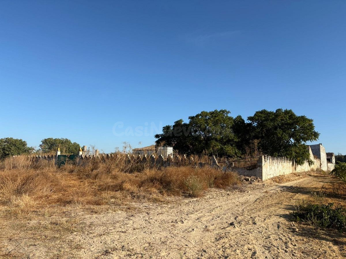 Finca rústica de regadío
