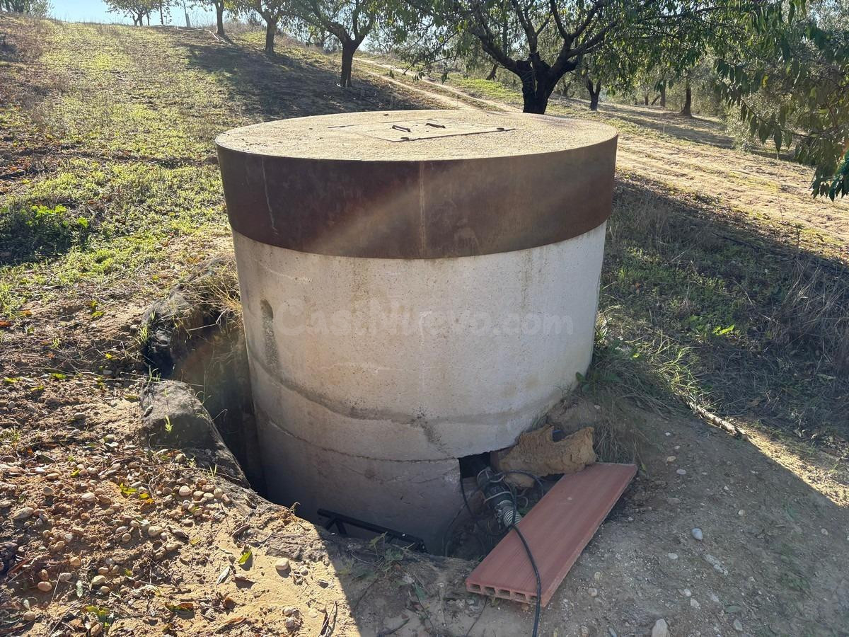 Finca rústica de Almendros - foto 4