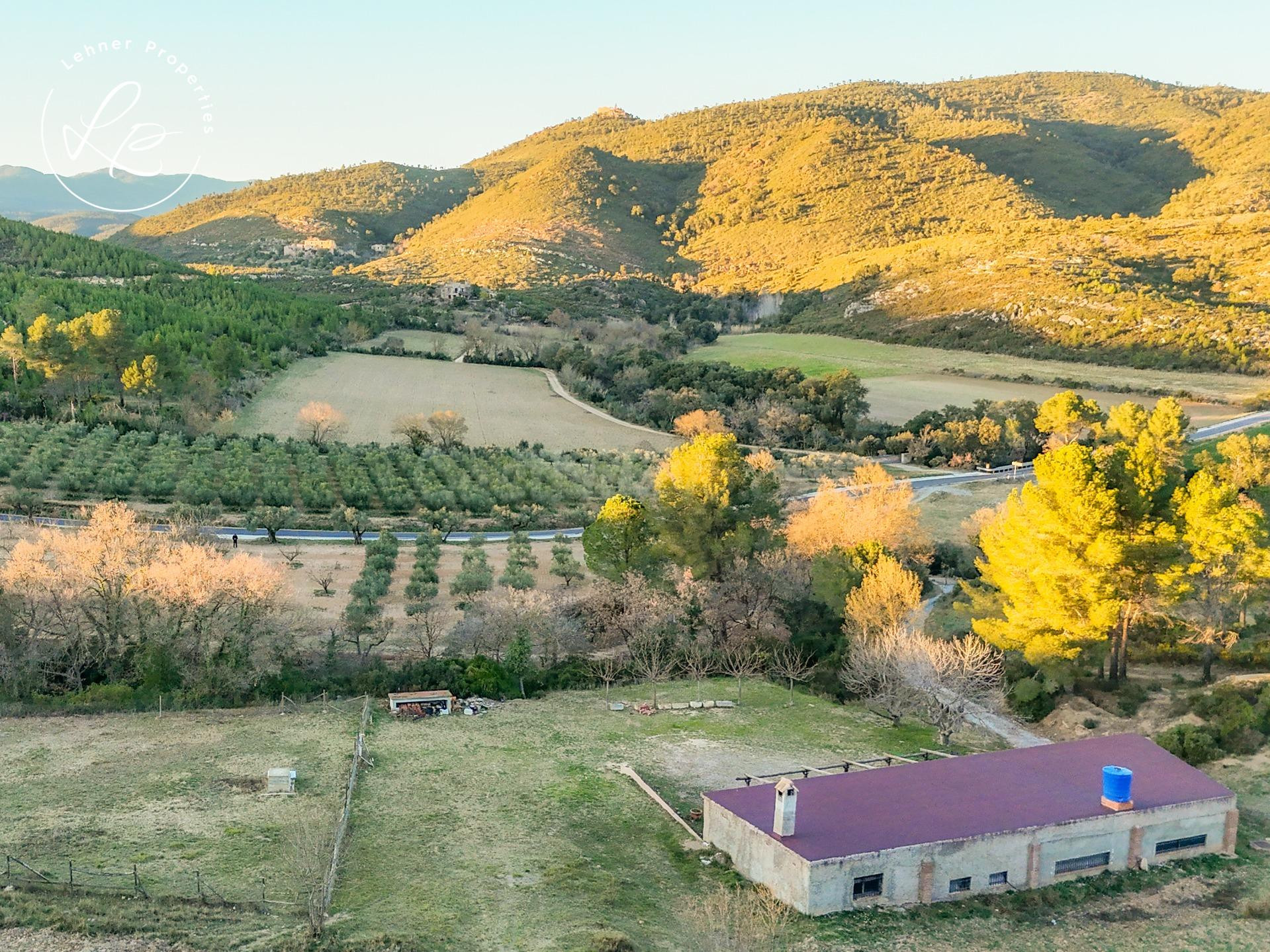Parcela rústica en Biure – ¡Un refugio en plena naturaleza! - foto 5