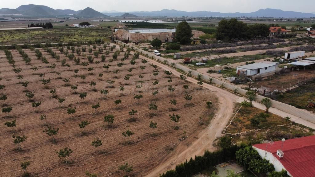 CORTIJO EN LORCA - foto 5