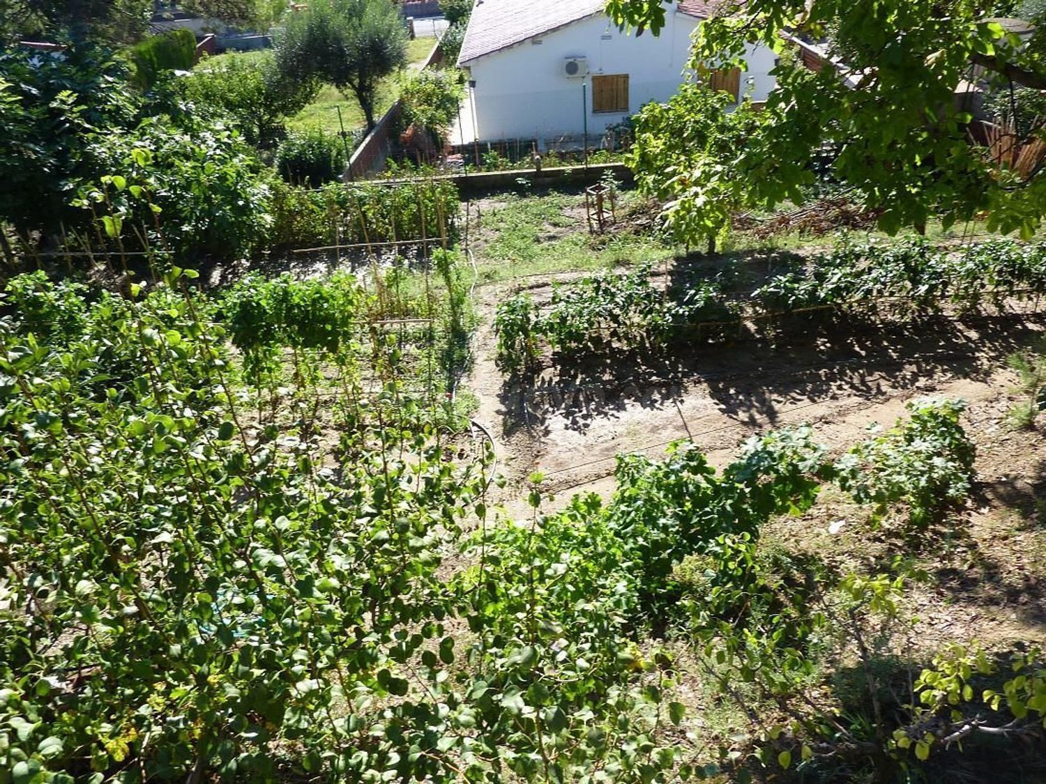 TERRENO EN VENTA EN CAN RIAL