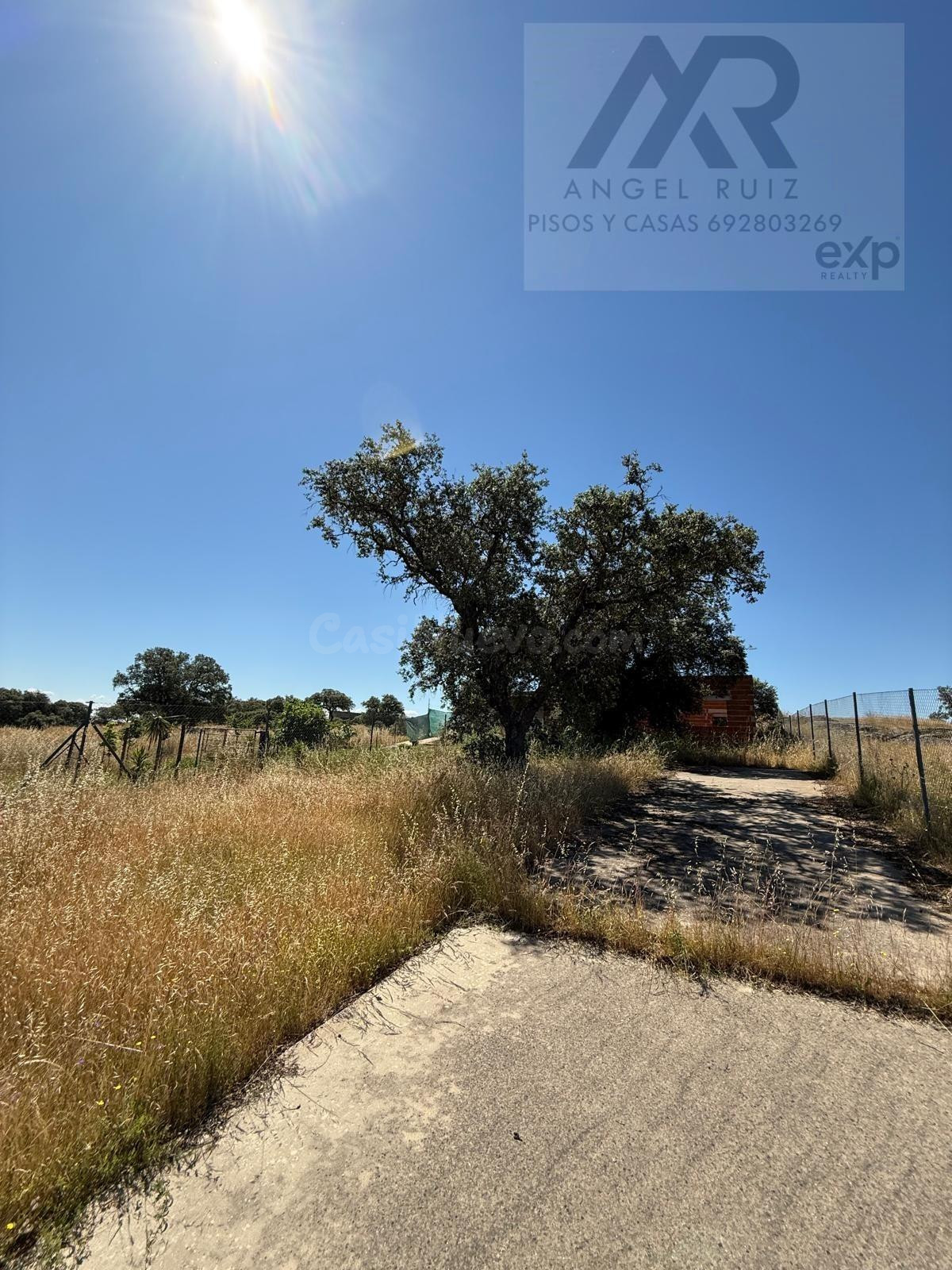 🏡 Finca Rústica en Venta – Esparragalejo (Badajoz) 🌳 Con pozo de agua y escrituras 2.000 m2 junto al polideportivo. - foto 5