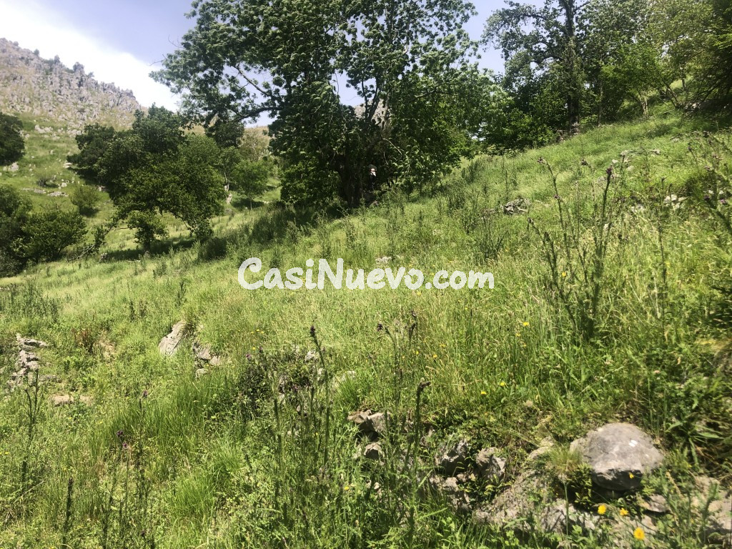 Casa-Chalet en Venta en Mortesante Cantabria - foto 13