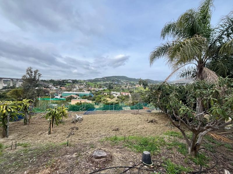 SE VENDE PARCELA DE 3600M2 CON VARIAS construcciones LEGALIZ - foto 4