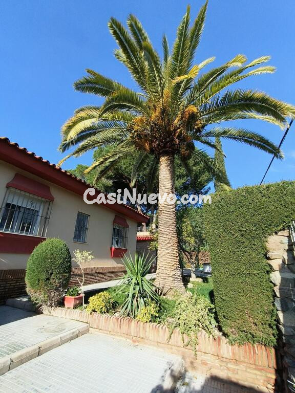 Espectacular chalet independiente en Urbanización Pino Grand - foto 15