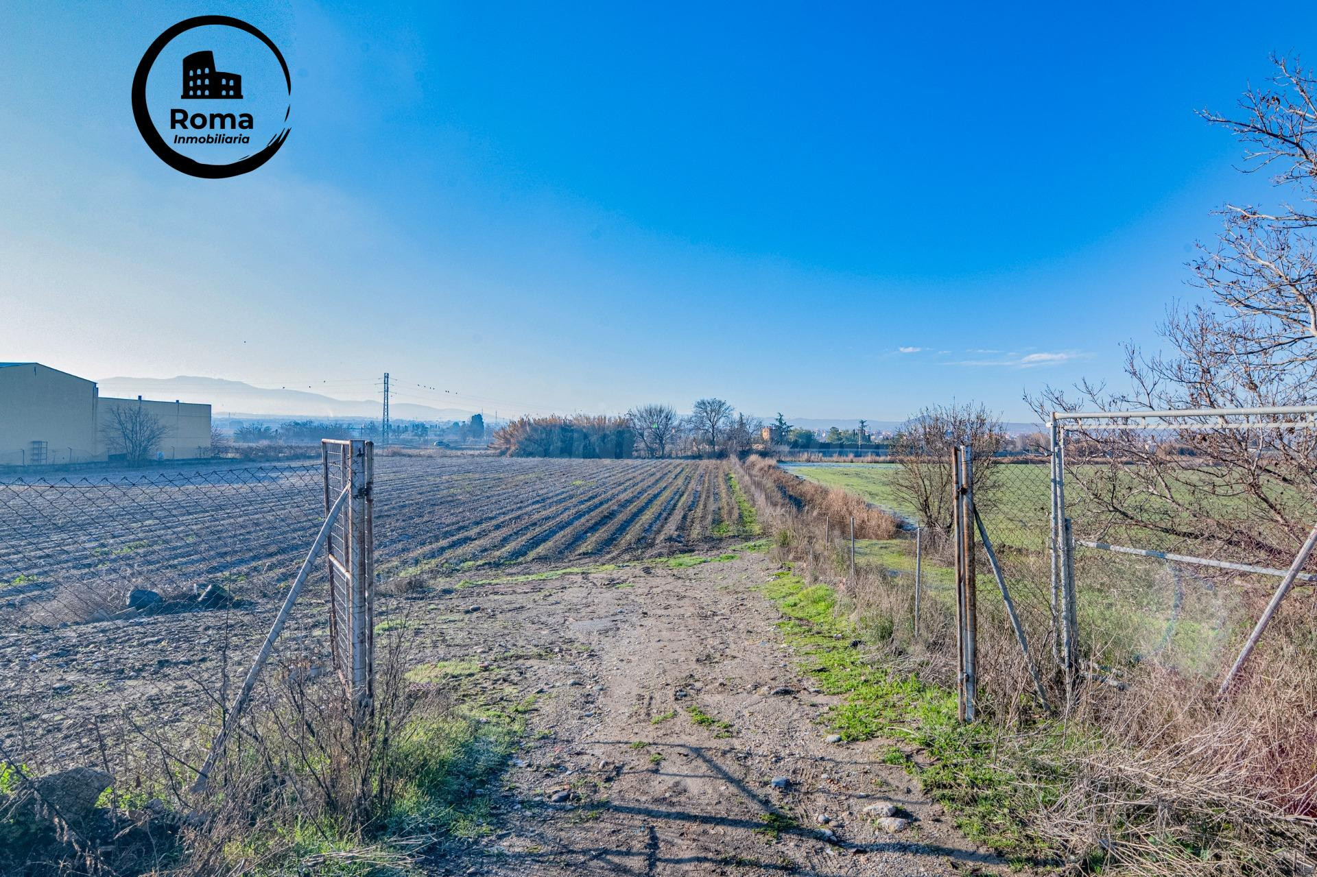 Excelente finca de regadío en la Vega de Granada, con acceso
