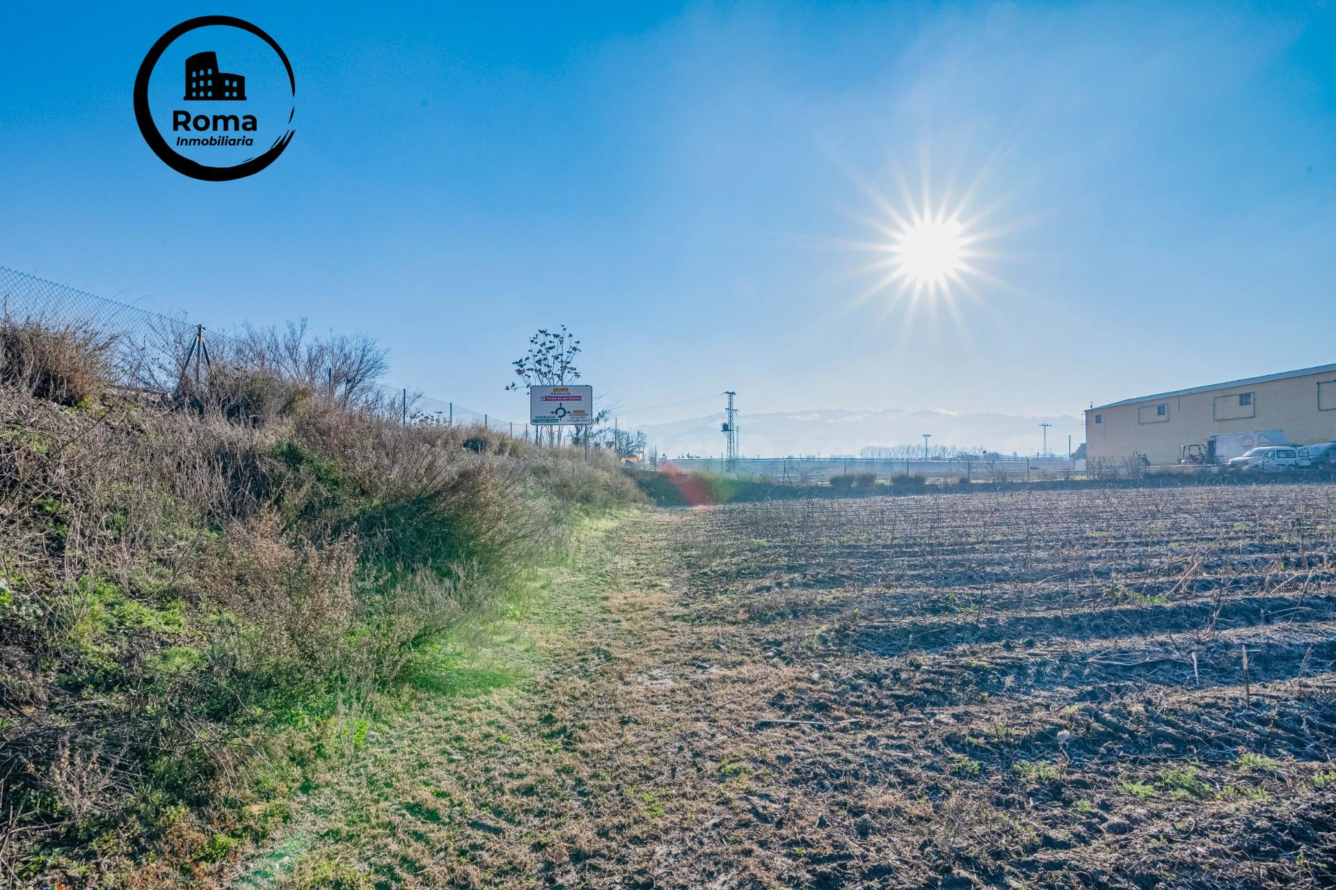 Excelente finca de regadío en la Vega de Granada, con acceso - foto 3
